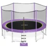 2023 Saffun Outdoor Purple Trampoline With Enclosure