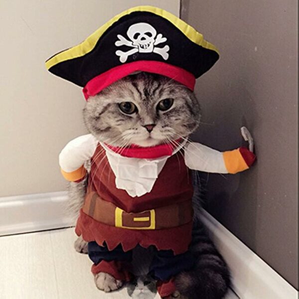 New Funny Pet Clothes Pirate