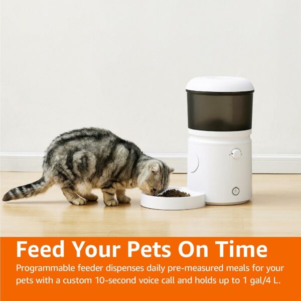 Basics Automatic Feeder for Cats and Dogs
